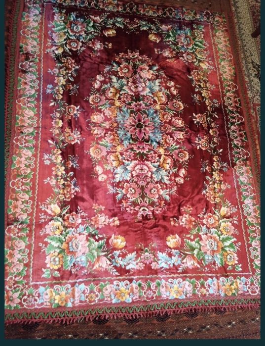 Албанский  палак 3 штуки в наличии…