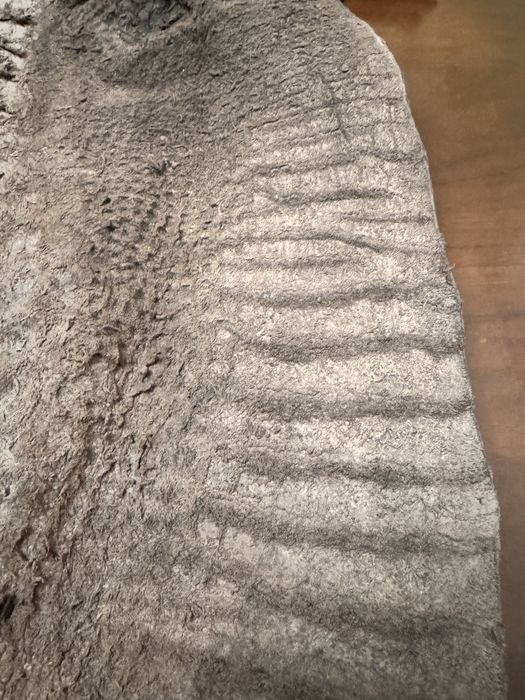 Кожа крокодила настоящая