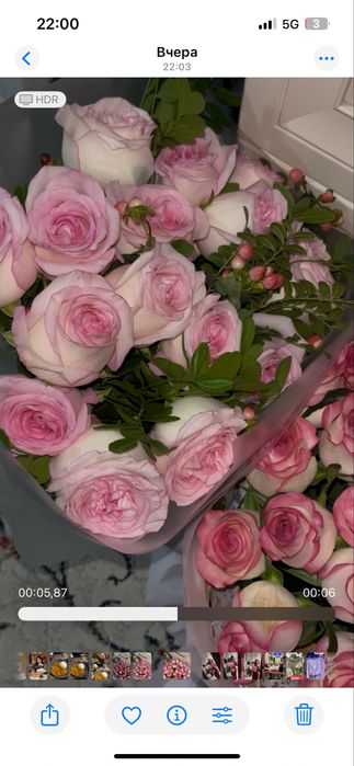 Продам цветы свежие