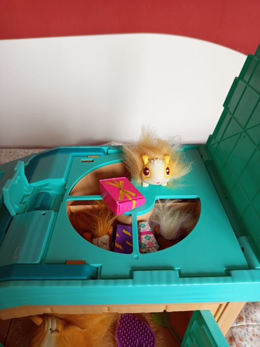 Морско свинче с 3 изненади