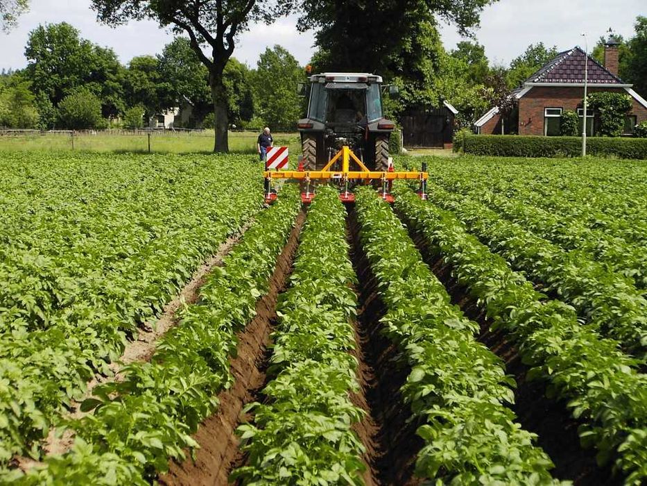 ZIBO Super-sapă cartofi bilonatoare