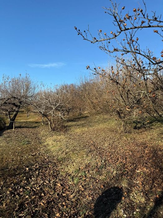 Продавам вила с два парцела