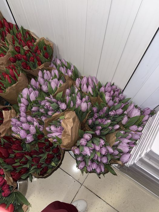 Тюльпаны по 650тг