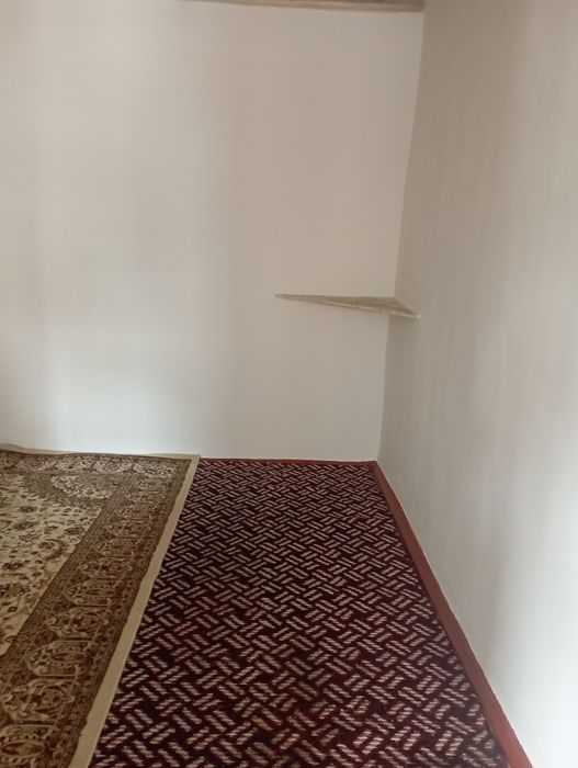 Mirobod tumani. Avenu orqa tomoni. Hovli