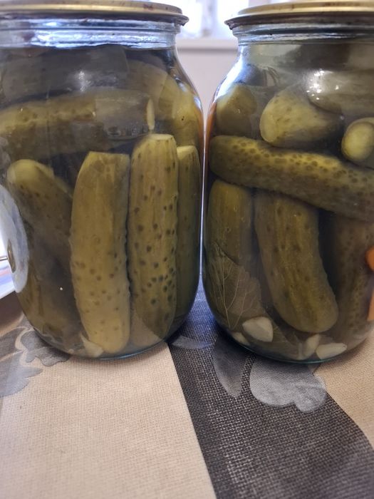 Продаю огурцы соленые