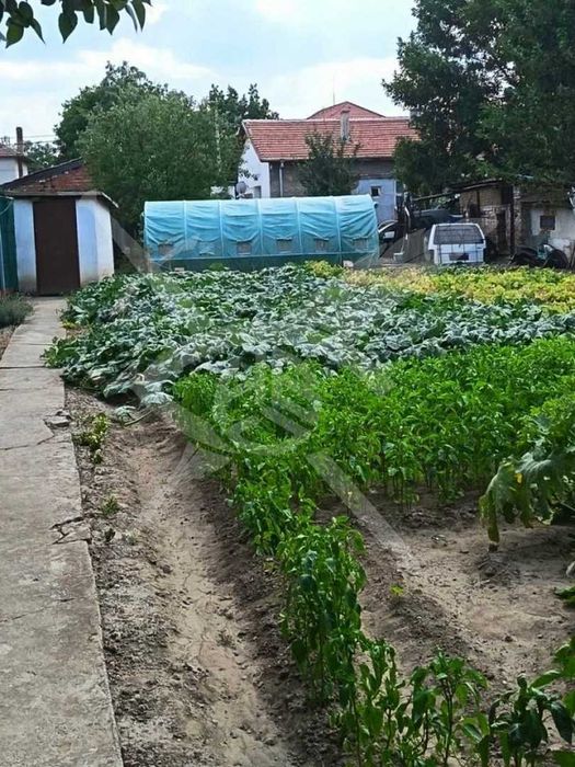 Къща в село Кривина № 87980