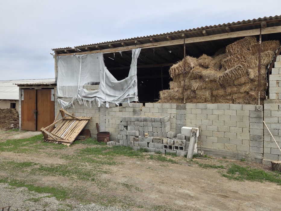 Фазенда продается