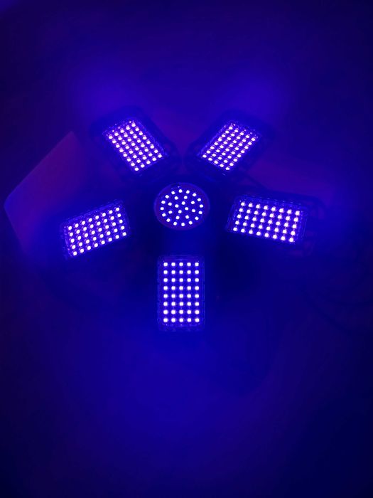 Деформируема лед черна светлина