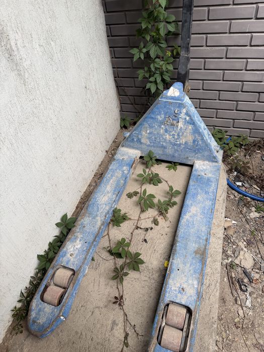 Рохля строительная