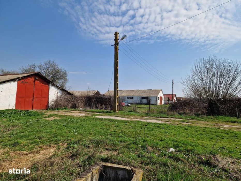 Ferma de vanzare 8 ha – Bals, judetul Olt