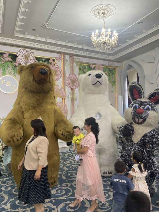 Ayiqlar(toza.sifatli)