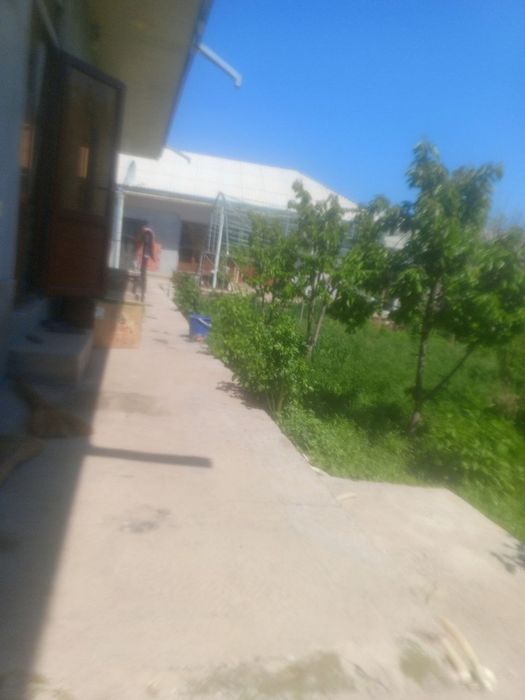 Hovli icharaga beriladi