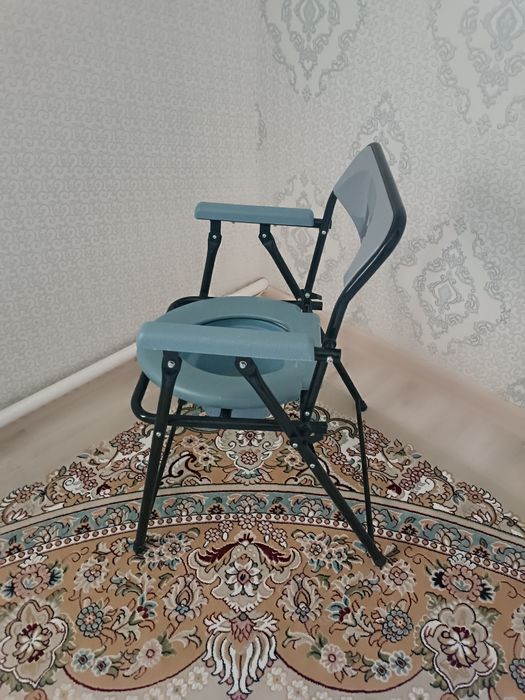 туалетная стулия