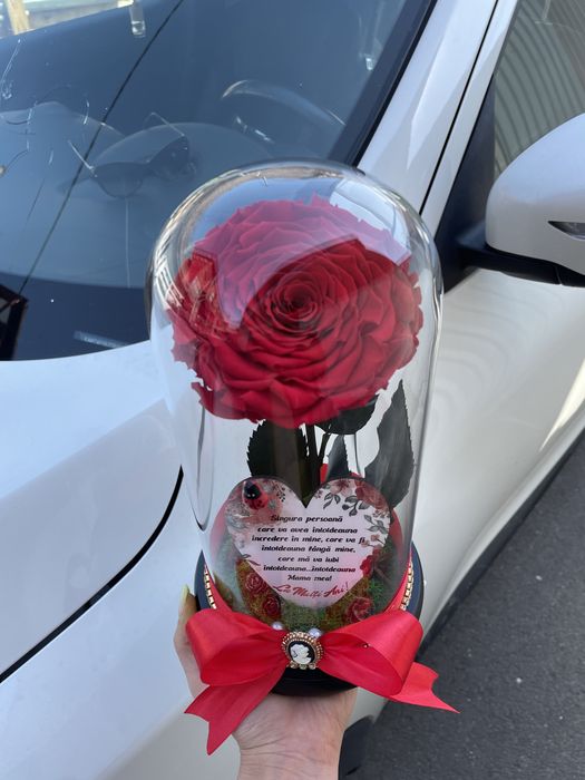 Trandafir nemuritor in cupola de sticla