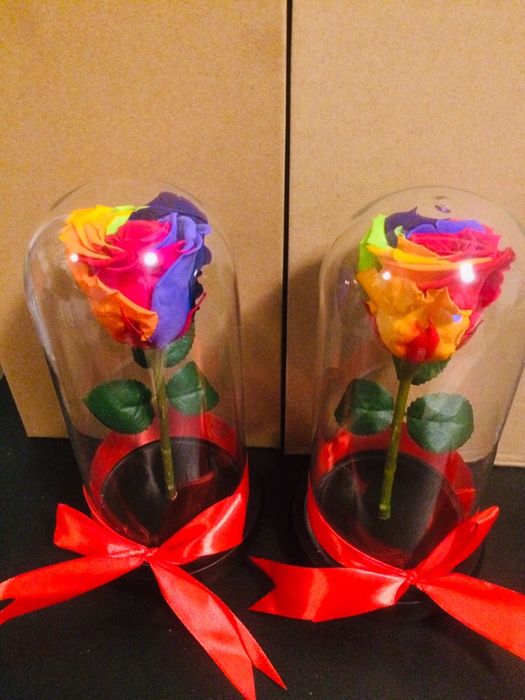 Cadou criogenat conservat in cupola cristalina