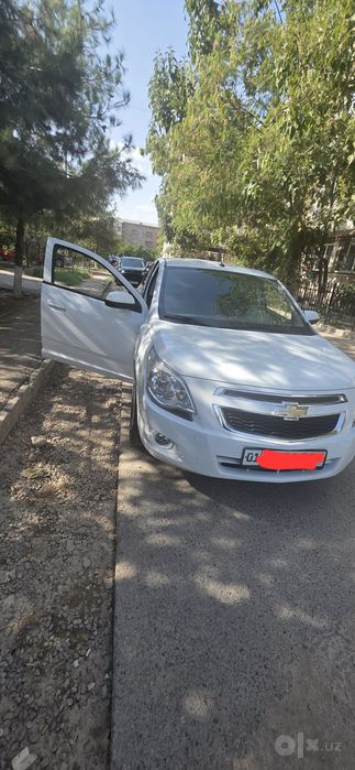 Srochna Cobalt 2023 yil ideal top toza
