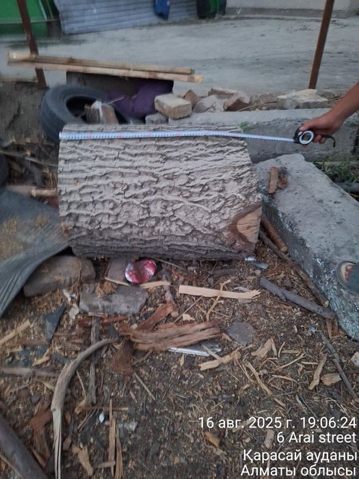 Стол-гриб из карагача