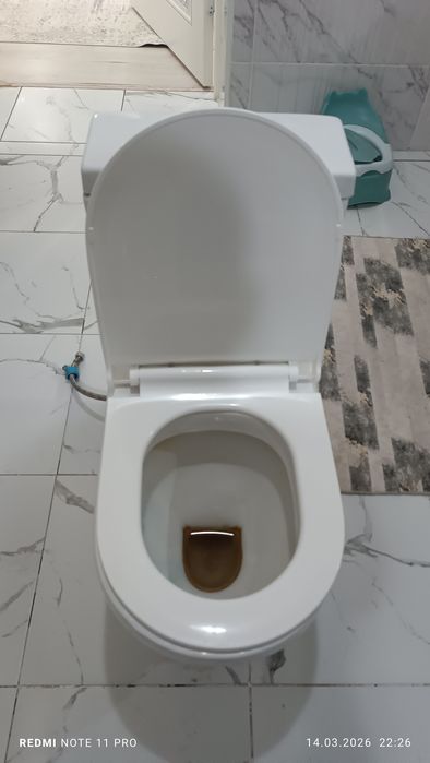 Унитаз және душ шлангасы