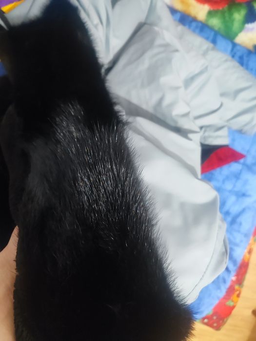 Натуральная Дубленка балоновый