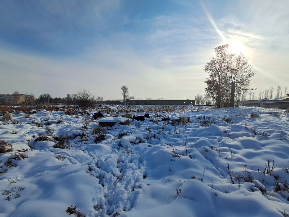 Продам здания в Пскенте, Таш обл.  0.82 га (82 сотх) кадастр есть.