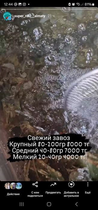 Продам раков с чистых озёр