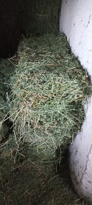 Беда прес 30 000 сум дастафкаси  шахар ичида  бепул