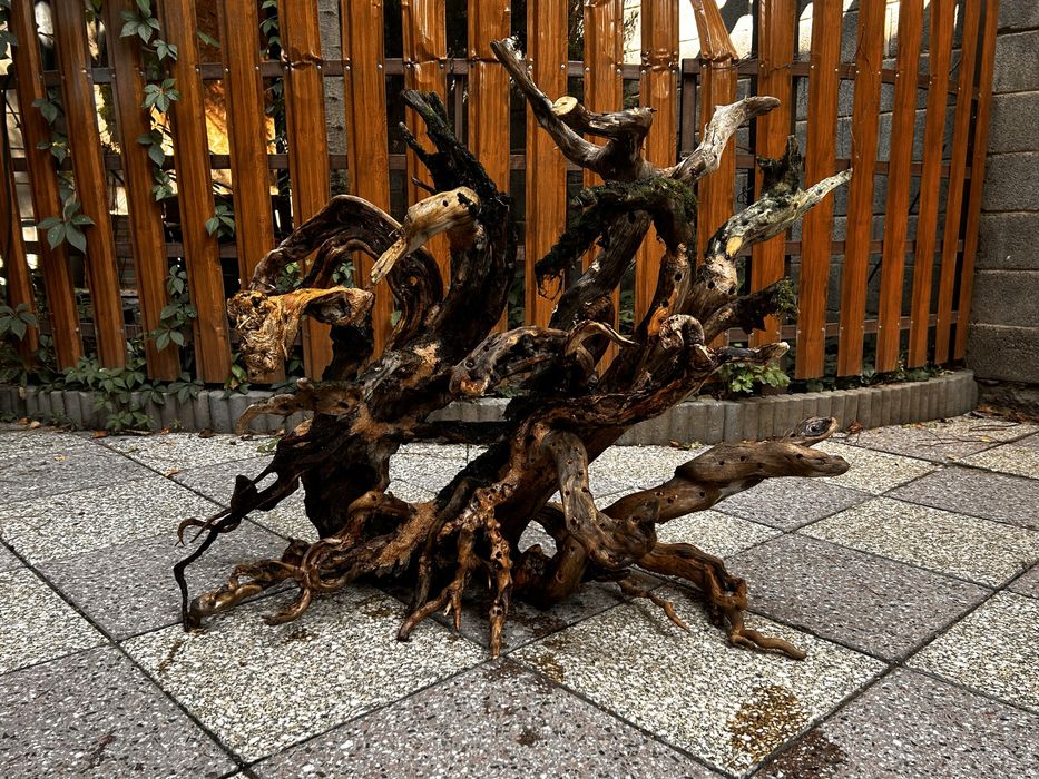 Коряги и камни для аквариума