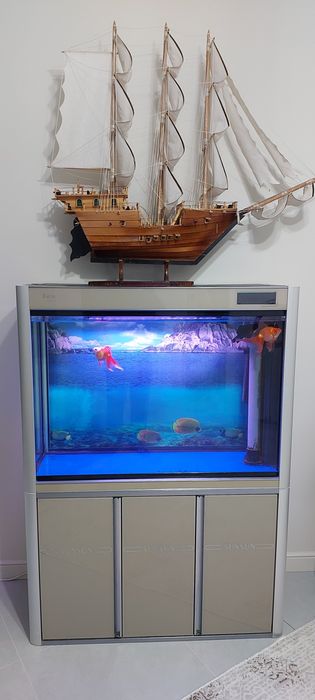 Продам аквариум,  рыбы.