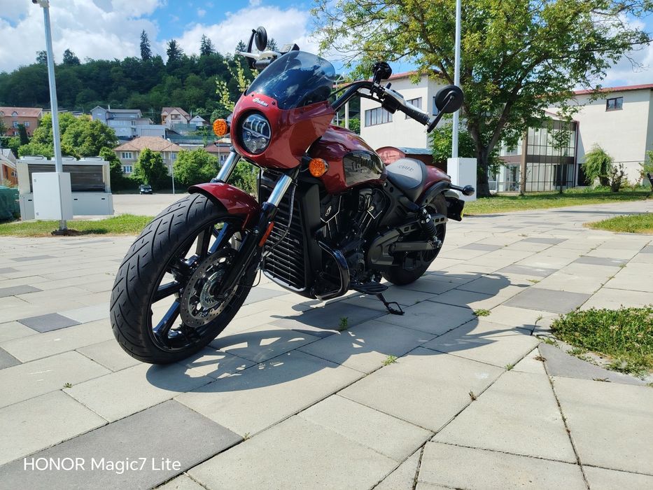 Indian Scout Rogue