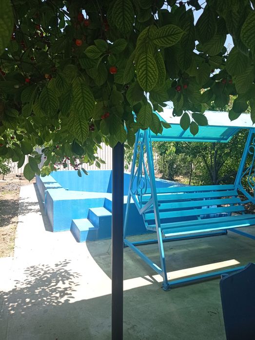 Дача в районе реки Чирчик.