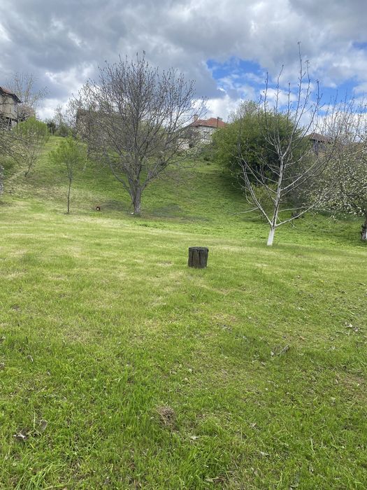 Косене на тревни площи