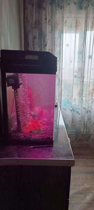 Аквариум 120 литров
