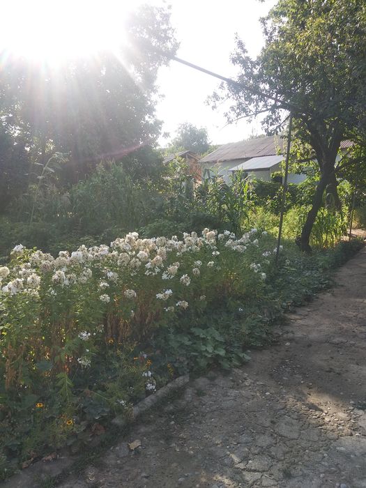 Продаётся участок 8 соток.