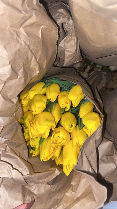 Свежие по  300 тг