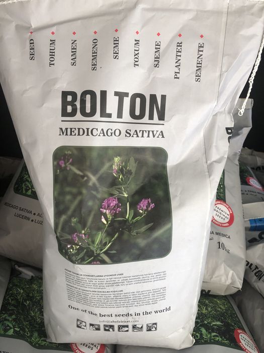 Beda urug’ беда уруг ОПТОМ. Oʻzbekiston va Turkiya