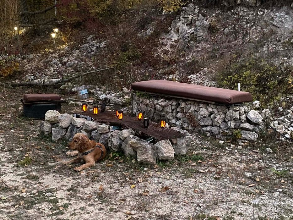 Продава се Парцел в с. Долище, Област Варна - 5000 кв.м за 4 €/кв.м - Снимка #7