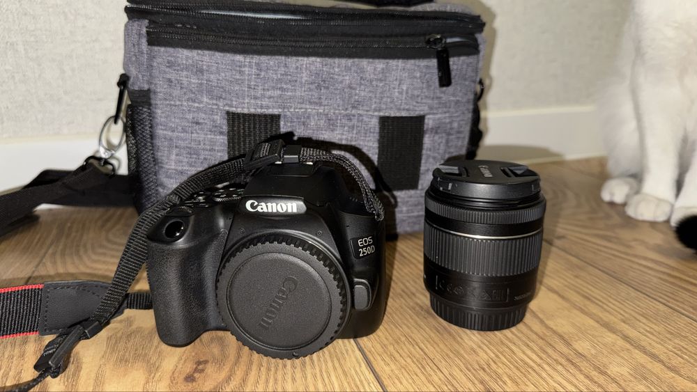 Фотокамера Canon EOS 250D EF-S 18-55 IS STM Kit