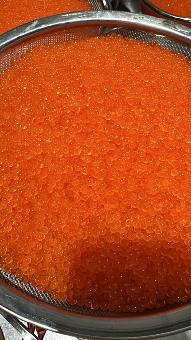 Icre pastrav somonate