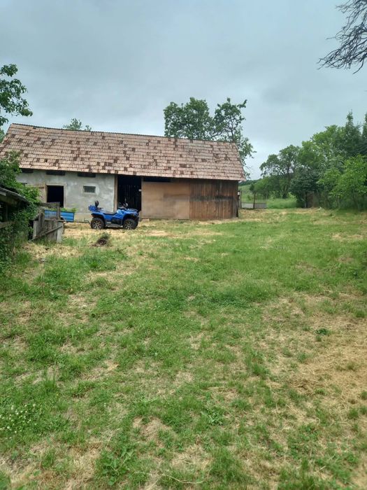 Vand casa in satul Feldiora