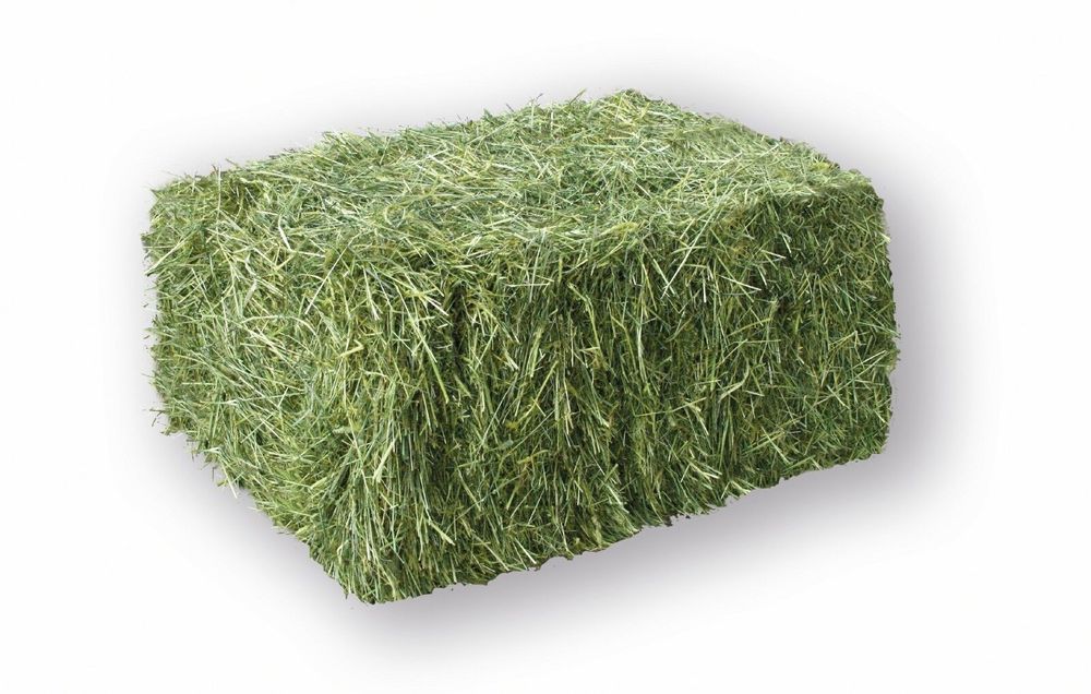 Беда пресс сотилади