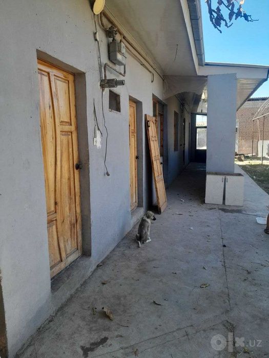 Hovli uy ijaraga beriladi