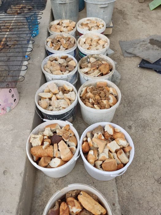 Хлеб для животных, отходы