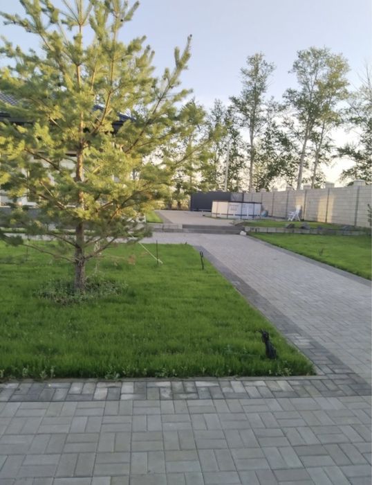 Посев газона под ключ