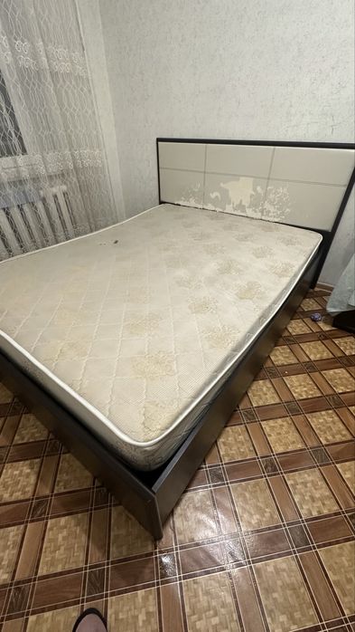 Отдаю бесплатно!