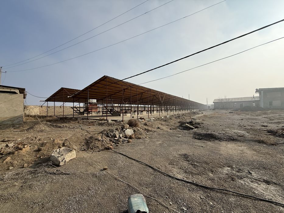 Мол ферма  сотилады 57 сотих келишамиз пулины