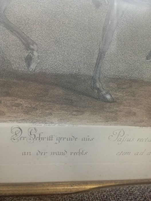 Gravura colorata veche Johann Elias Ridinger