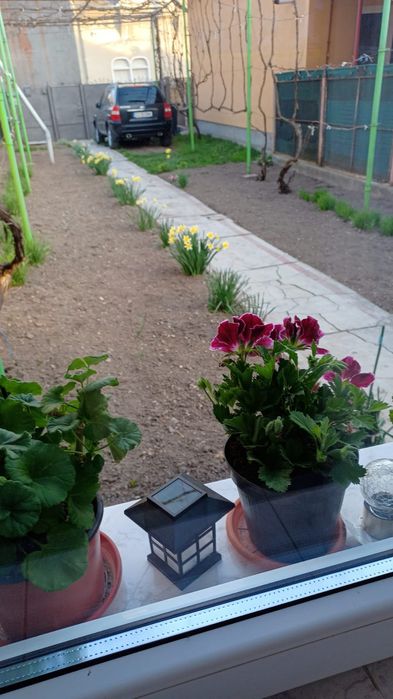 Casă de vânzare centru Turda