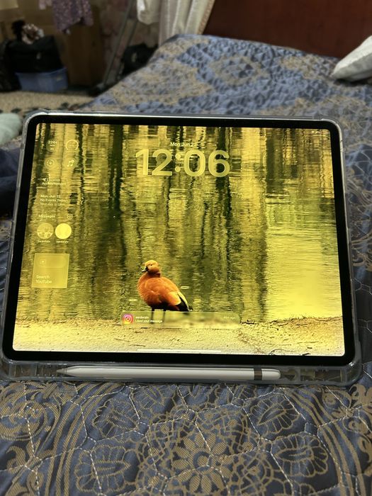 Ipad Pro 12.9 128 gb