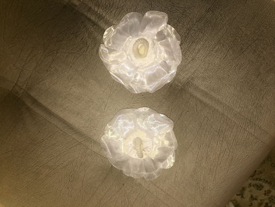 Продаю бантик