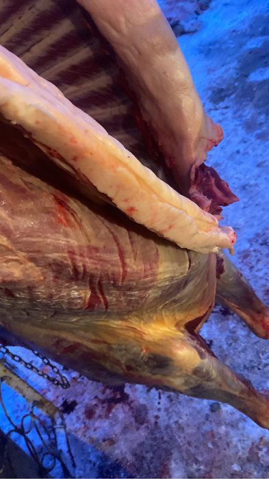 байтал кунажын кумнын